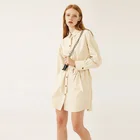 Normcore/Minimalist autumn longsleeve casual women's Shirt dress