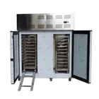 100% new upright flash freeze tunnel blast shock freezers refrigerator iqf