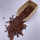 Seed 0138 Shandong Jujube Seed Wholesale Spine Date Seed
