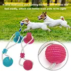 Pet Toys Pet Amazon Hot Selling Fun Pet Dog Toy Tooth Chewing Molar Bite Rope Ball With Suction Cup