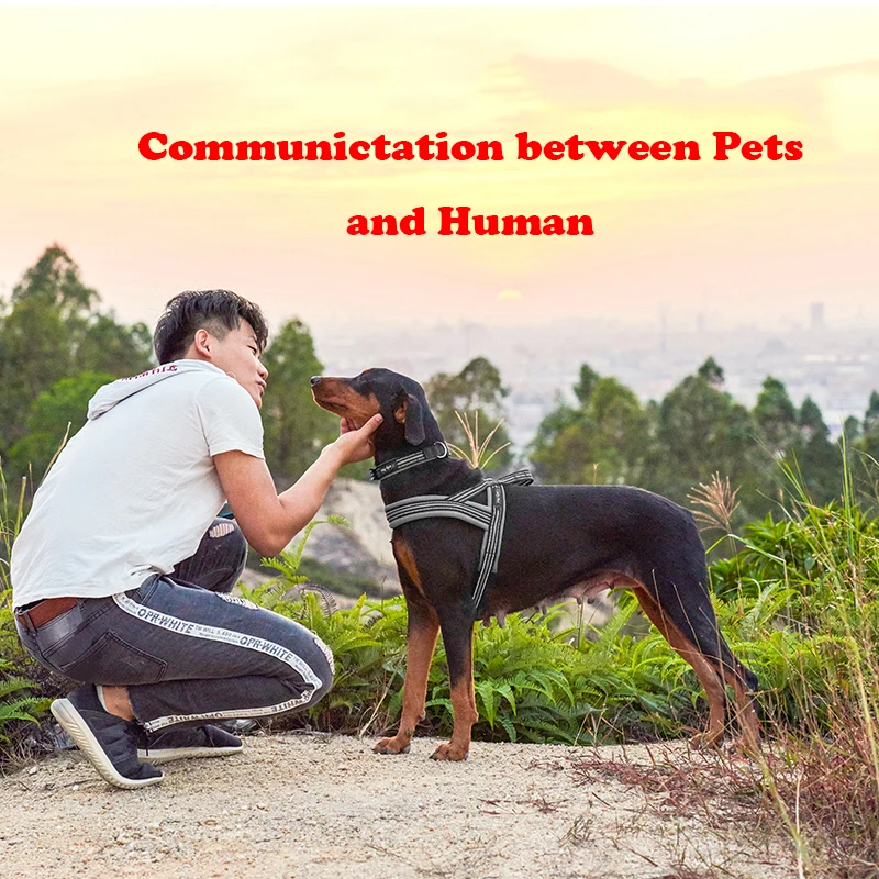 no pull halter mesh breathable soft puppy harness