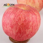 2019 new crop fresh fruits red Fuji apples