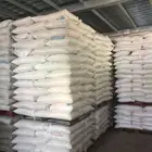 Plant Protein Vegan Food Supplement Protein Powder
