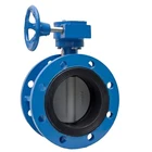Butterfly Valve Professional Manufacture Price Flange Butterfly Valve