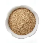 100% Natural good taste white sesame roasted sesame seed price