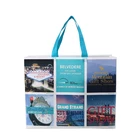 Recyclable Tourism Custom Lamination PP Non Woven Carry Bags Shopping Bags