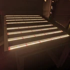 Growers Plant Growers Choice IP65 Full Spectrum 800w Indoor Plant LED Grow Lights Kit
