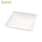 USA Market Sugarcane Sauce Container Biodegradable Bagasse Plate