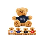 2019 Custom logo small teddy bears soft plush stuffed bear toy
