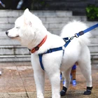 Dog Shoes Manufacturer Wholesale Multi-colors Silicone Waterproof Anti Slip Dog Rain Shoes