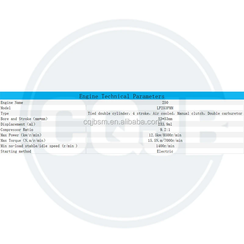 Cqjb High Quality Motorcycle Engine 250cc Air Cooled Parallel Double