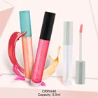 High quality 5ml clear lip gloss tube packaging empty lip gloss lipgloss tube with brush applicator