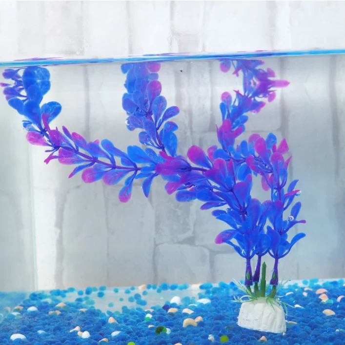 aquarium plant 1.png