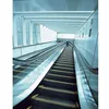 /product-detail/high-quality-professional-commercial-top-quality-home-escalator-cost-60562054986.html