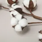 Bulk Top Quality Wholesale Bulk Stems Farmhouses Artificial Flower Natural Cotton Branch