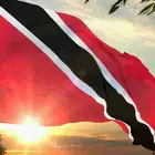 Trinidad and Tobago 90*150 cm single side better price flag with fast production and shipping