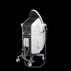 Salon Equipment Slimming Salon Equipment Price 2020 CE Salon Beauty Equipment Body Slim Radio Frequency Machine
