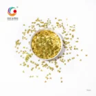 GH1401F Hotsale New Japanese Nail Art Star Flash Royal Blue Square Glitter Powder Glue Free Makeup Glitter