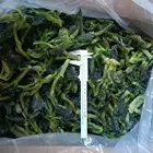 frozen spinach balls IQF spinach cut price the New season