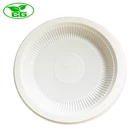Western Restaurant Eco-friendly Disposable Biodegradable CornStarch Dinner Steak Plate