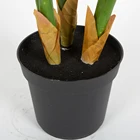 Good Recommended Natural Home Desktop Decoration Artificial Plant Tortoiseshell Tree