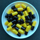 Manufacture Good Quality Gelatin Capsule Shell Filling Empty Capsules