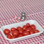 High quality take out disposable pack sushi sugarcane compostable bagasse Plates