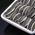 Seeds Chinese Sunflower Seeds 5009 For Wholesale