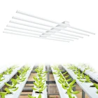 Customized full spectrum hydroponic greenhouse 4/5/6 Bars 100w 120W 180W Led Grow Light for Indoor Plants