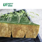 UPuper block seed plug hydroponic rock wool 1.4*1.4*1.56 inch each for indoor hydroponic cucumber or green house planting