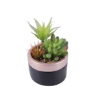 Mini Cactus Wholesale Mini Faux Potted Arrangements Potted Succulents Cactus Artificial Plants For Outdoor Decor