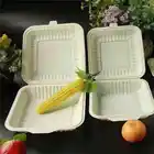Granulating Production Line 100% Biodegradable Compostable Shopping Bags/paper Cup/plates Making Machine