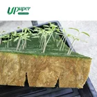 Seed Hydroponic Rockwool Planting Agricultural Hydroponics Rockwool Rock Wool Small Cubes Plants Seed