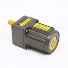 4 Motor Ac 15W 100RPM 4 Poles 50/60Hz Reversible Small AC Gear Motor With Gearbox