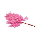 Dried The Dried Flowers Immortal Flower Arrangement Material Dried Flowers Decorate Fern Leaves