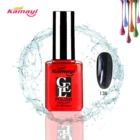 Guangzhou cheap wholesale nail supplies fur gel nail polish soak off nail gel with free sample for salon