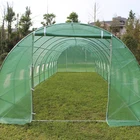 commercial plants' room Single-Span foldable Greenhouses hydroponics grow tent factory price from china