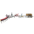 Full Automatic Box Packaging Machines with Carton Erector and Conveyor