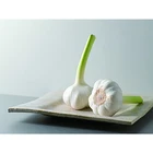 good farmer garlic exporters china 6 cm garlic