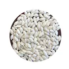 Seed Cheap Price Factory Directly Sale Snow White Pumpkin Seed