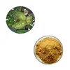 /product-detail/100-pure-natural-kola-nut-extract-caffeine-powder-for-health-62065349131.html