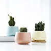 New products Plants Flower pots cute Succulent pots ceramic