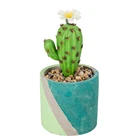 Cheap Mini Artificial Cactus Home Decor Wholesale Cactus