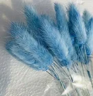 Flowers Wholesale High Quality Dried Bouquet Natural Preserved Flowers Lagurus Ovatus For Decoration