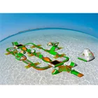 Inflatable Sport Price List Commercial Used Water Park Equipment For Sale