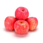 Fresh fruits red fuji apple chinese fuji apple price