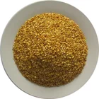 Chilli Seeds (Free Sample)