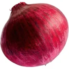 Indian Fresh Red Onion Exporters Indian With Fresh Enough
