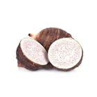 Taro Taro Export High Quality And Good Price Organic Fresh Pure Natural Taro