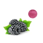 High quality low price natural mulberry leaf extract powder / mulberry leaf extract